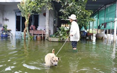 Người Sài Gòn khốn khổ vì ngập cả tháng: 'Xót xa đồ đạc bị nước ăn'