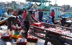 Bình Thuận: Ban hành nghị quyết nâng cao đời sống, chỉ số hài lòng của người dân