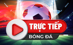 Trực tiếp bóng đá Norwich United vs Potton United, FA Cup, 21:00 06/08/2022