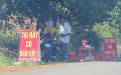 Bình Phước: 'Sốt đất' khu vực đường ĐT.753 sau thông tin đề xuất xây cầu Mã Đà