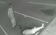 Cụ già gốc Việt bị đánh ở Mỹ: Giám định tâm thần nghi phạm