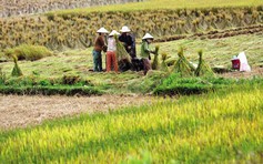 Giao đất cho nông dân