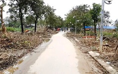 Nỗi buồn đường Trịnh Công Sơn tại Huế