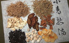 Bài thuốc cổ phương hỗ trợ giảm ho đờm, giúp thông thoáng đường hô hấp