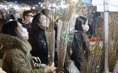 Chợ hoa lớn nhất Hà Nội đông nghịt người ngày cận tết