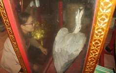 Chuyện lạ về con chim hạc ở đền thờ An Dương Vương