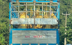 Sở VH-TT-DL Lâm Đồng yêu cầu Liên Minh Group đưa tượng lính xưa về lại Bình Dương