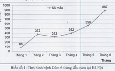 Ca bệnh nhiễm cúm tăng mạnh, Hà Nội sẵn sàng ứng phó dịch lây lan