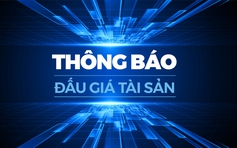 Thông báo đấu giá tài sản - 267/TBĐG-TN