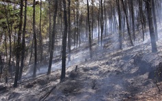 Vừa cứu 5 người do nhà cháy, công an ở Huế cấp tập đi chữa cháy rừng thông