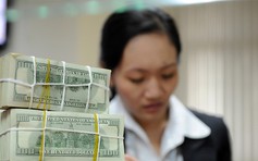 Giá USD hôm nay 12.10.2020: ‘Lặng sóng’ phiên đầu tuần