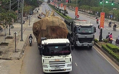 Bộ GTVT yêu cầu làm rõ có hay không việc bao che phương tiện chở ‘cây khủng’