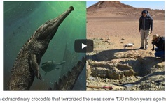 Tìm thấy hóa thạch cá sấu thời tiền sử