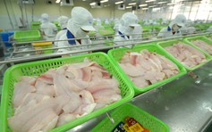Bộ Nông nghiệp Mỹ: Cá tra Việt Nam đạt 'chuẩn' Mỹ