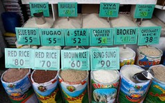 Tranh cãi chuyện Philippines ngừng nhập khẩu gạo