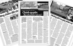 Giang hồ cưỡng chiếm đất công: Yêu cầu Công an tỉnh và Thành ủy Phan Thiết báo cáo