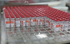 Sớm triển khai tiêm 740.000 liều vắc xin Covid-19 Sputnik V