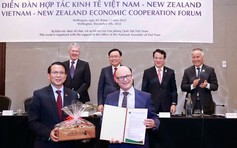 Nhiều cơ hội tăng cường hợp tác Việt Nam - New Zealand