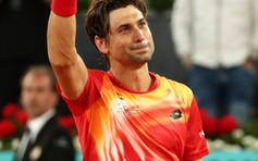 David Ferrer giã từ sự nghiệp tại Madrid