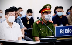 Cựu đại tá Phùng Anh Lê bị đề nghị 9 - 10 năm tù