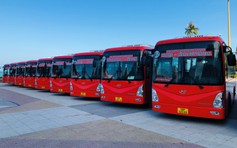 Khánh Hòa đưa vào hoạt động 8 tuyến xe buýt có trợ giá, máy lạnh, wifi