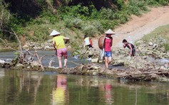 Kiểm tra, làm rõ việc xả thải gây cá chết hàng loạt trên sông Bưởi