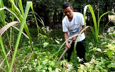 Anh hùng giữa đời thường: Người trồng rừng trên rú Ngàn Chô
