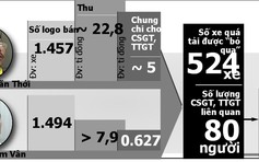 Thấy gì từ vụ án ‘mua bán logo xe vua’?