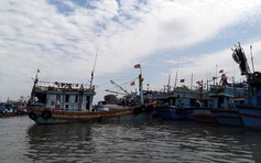 Chấm dứt tàu cá và ngư dân vi phạm vùng biển nước ngoài