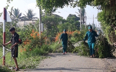 Theo dõi tình hình dịch bệnh do vi rút Chikungunya