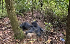 Đà Nẵng: Phát hiện một thi thể trên đường mòn vào rừng
