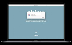 Safari cho phép xác thực Face ID và Touch ID các trang web