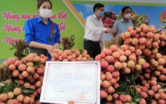 Sống chung với dịch: Bài học mở 'luồng xanh' bán vải thiều ở Bắc Giang