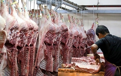 Cục phó Cục Chăn nuôi nói gì về thịt lợn tăng giá dịp cận tết?