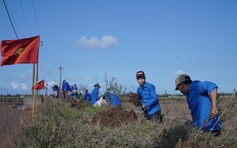 'Áo xanh' tình nguyện ra đồng dọn bùn đất giúp dân