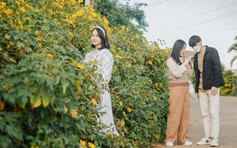 Bạn trẻ mê mẩn 'check-in' với hoa dã quỳ nở rộ ở miền tây Quảng Trị
