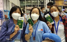 Tuyển 240 ứng viên điều dưỡng, hộ lý sang Nhật Bản làm việc