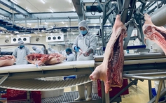 Cận cảnh nhà máy nghìn tỉ giết mổ lợn, sản xuất thịt mát MEATDeli