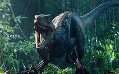 ‘Thế giới khủng long’ sẽ vượt qua phim Marvel ‘càn quét’ phòng vé hè 2021?
