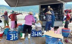 Đà Nẵng khuyến cáo không nên vào, ra cảng cá Thọ Quang khi đang dừng hoạt động