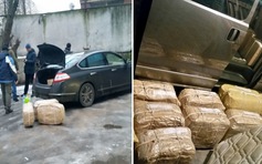 Vận động viên Nga dính líu đường dây buôn lậu ma túy quy mô lớn