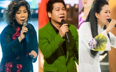 Đêm nhạc của Đinh Hiền Anh thu gần 35 tỉ đồng cứu trợ miền Trung