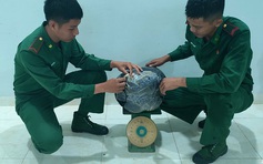 An Giang: Bắt vụ vận chuyển trái phép 4,5 kg cần sa qua biên giới