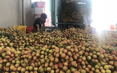 Xuất khẩu trái cây sang Trung Quốc thông thoáng