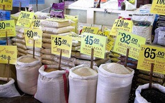 Philippines có thể mua thêm nửa triệu tấn gạo
