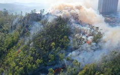 Bình Định: Kịp thời dập tắt đám cháy núi Bà Hỏa giữa thành phố Quy Nhơn