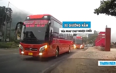 3 xe giường nằm nối đuôi vượt ẩu, ép ô tô con: Tài xế bị đình chỉ