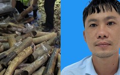 Đà Nẵng: Truy tố ông trùm buôn lậu ngà voi, sừng tê, vảy tê tê, xương sư tử trị giá 300 tỉ đồng