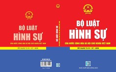 Lùi thời điểm thi hành Bộ luật hình sự 2015: Nghi phạm, tội danh bị ảnh hưởng