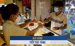 Biến động vàng ngày 20.11: Giá vàng tiếp tục tăng